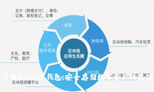 深入了解Bitfx冷钱包：安全存储数字资产的最佳选择