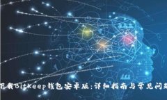 如何下载BitKeep钱包安卓版：详细指南与常见问题