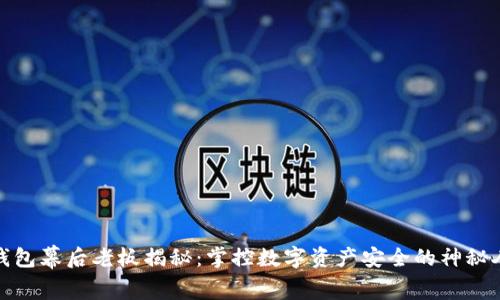 TP钱包幕后老板揭秘：掌控数字资产安全的神秘人物