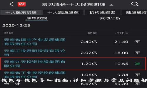 TP钱包子钱包导入指南：详细步骤与常见问题解析