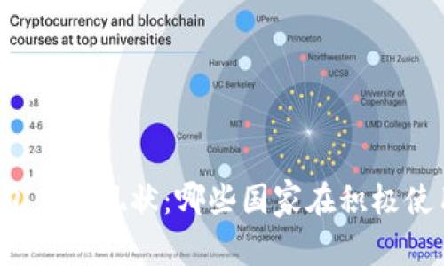 全球冷钱包应用现状：哪些国家在积极使用冷钱包？