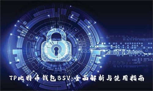 TP比特币钱包BSV：全面解析与使用指南