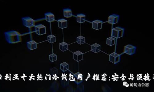 尼日利亚十大热门冷钱包用户推荐：安全与便捷并存