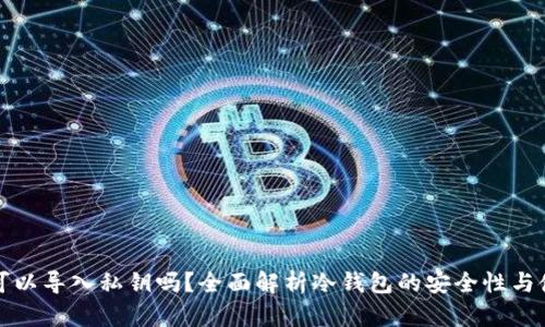 冷钱包可以导入私钥吗？全面解析冷钱包的安全性与使用方法