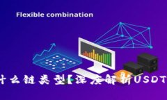 USDT属于什么链类型?深度解析USDT的生态系统