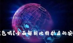 比特护盾是冷钱包吗？全面解析比特护盾的安全