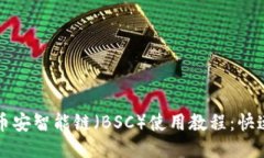 TP钱包里币安智能链（BSC）使用教程：快速上手指