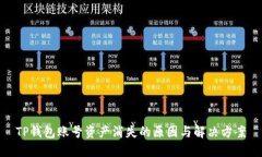 TP钱包账号资产消失的原因与解决方案