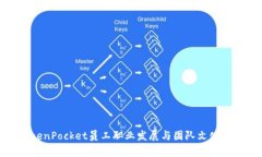 TokenPocket员工职业发展与团队文化解析