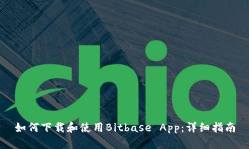 如何下载和使用Bitbase App：详细指南