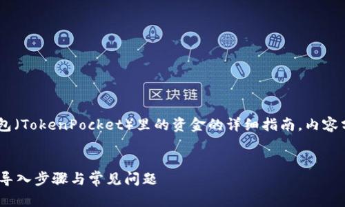 注意：以下是关于如何导入TP钱包（TokenPocket）里的资金的详细指南，内容分为、关键词、大纲以及相关问题。


如何轻松导入TP钱包的钱？详解导入步骤与常见问题