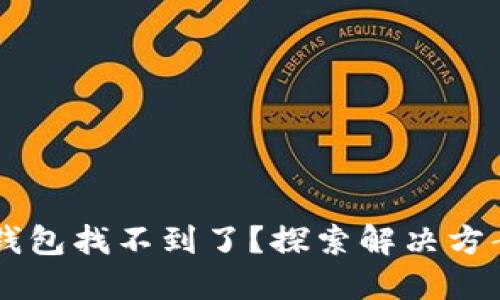 手机里的TP钱包找不到了？探索解决方案与使用技巧