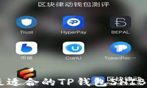 
如何选择最适合的TP钱包SHIBI：全面指南