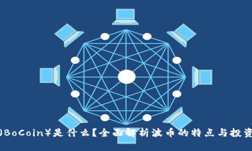 波币（BoCoin）是什么？全面解析波币的特点与投资价值