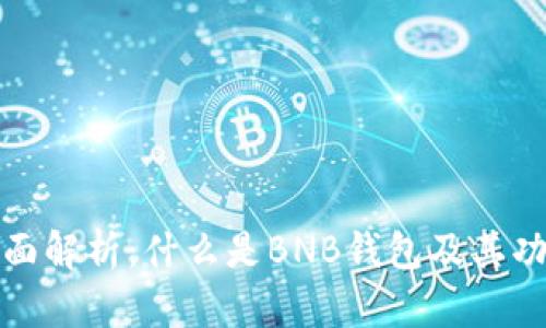 BNB钱包的全面解析：什么是BNB钱包及其功能与使用指南