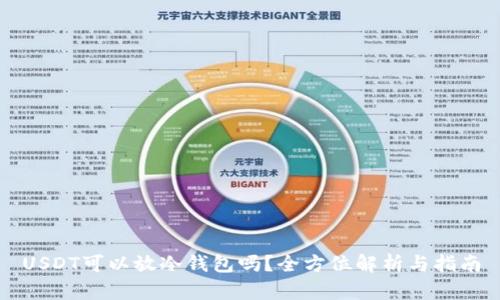 USDT可以放冷钱包吗？全方位解析与指南