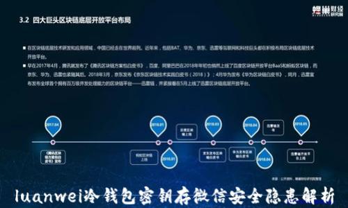 
luanwei冷钱包密钥存微信安全隐患解析