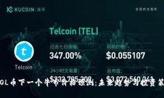  SOL币下一个牛市价格预测：未来趋势与投资策略