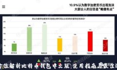 全方位解析比特币钱包中文版：使用指南与最佳