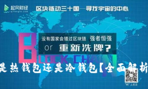 ToastWallet是热钱包还是冷钱包？全面解析及安全性分析