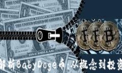 全面解析BabyDoge币：从概念到投资价值