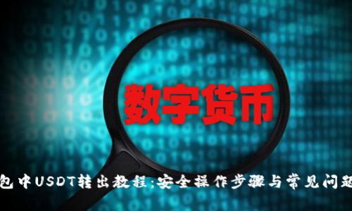 冷钱包中USDT转出教程：安全操作步骤与常见问题解析