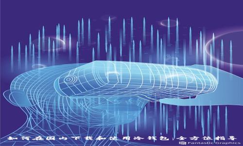 如何在国内下载和使用冷钱包：全方位指导