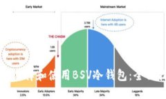 如何选择和使用BSV冷钱包：全面指南