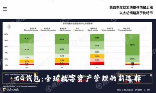 CG钱包：全球数字资产管理的新选择