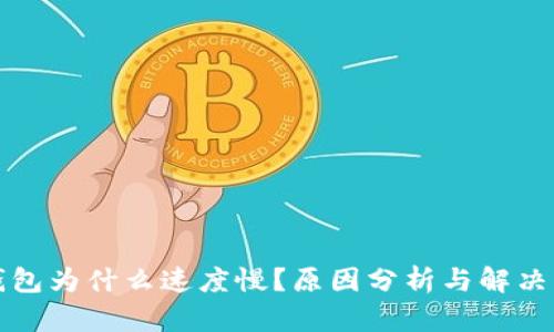 TP钱包为什么速度慢？原因分析与解决方案