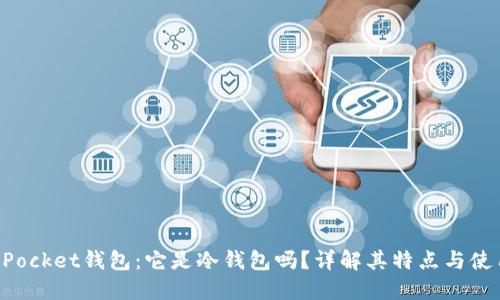 TokenPocket钱包：它是冷钱包吗？详解其特点与使用场景