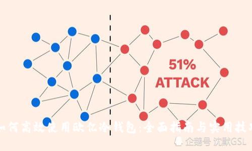 如何高效使用欧亿冷钱包：全面指南与实用技巧