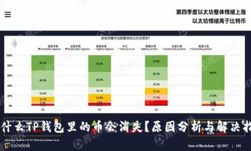 为什么TP钱包里的币会消失？原因分析与解决指南