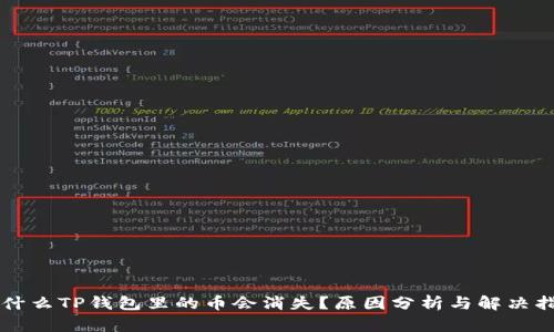为什么TP钱包里的币会消失？原因分析与解决指南