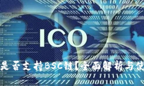 TP钱包是否支持BSC链？全面解析与使用指南