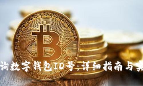 如何查询数字钱包ID号：详细指南与实用技巧