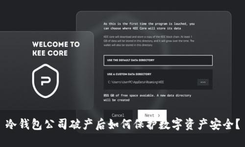 冷钱包公司破产后如何保护数字资产安全？