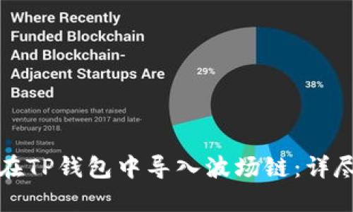 如何在TP钱包中导入波场链：详尽指南