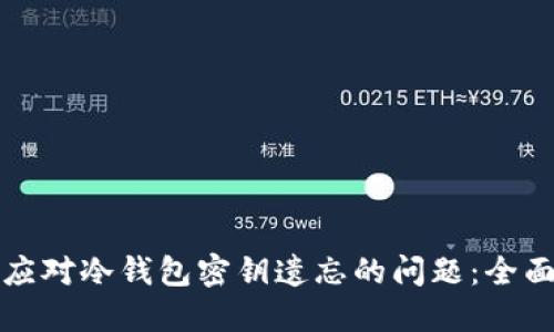 如何应对冷钱包密钥遗忘的问题：全面指南