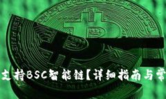 TP钱包如何支持BSC智能链？详细指南与常见问题解