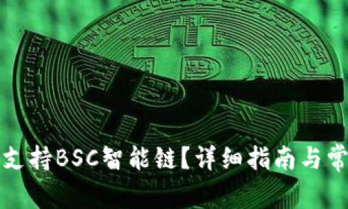 TP钱包如何支持BSC智能链？详细指南与常见问题解答