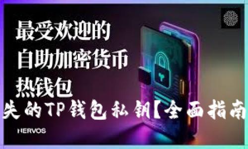 如何找回丢失的TP钱包私钥？全面指南与实用建议