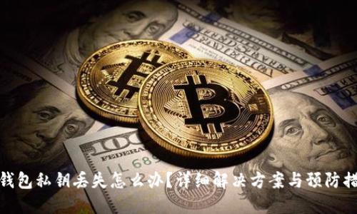 TP钱包私钥丢失怎么办?详细解决方案与预防措施