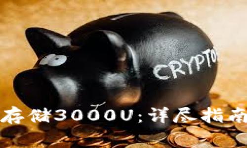 冷钱包如何安全存储3000U：详尽指南与常见问题解答