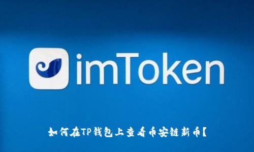 如何在TP钱包上查看币安链新币?