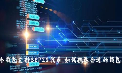 冷钱包支持BEP20代币，如何挑选合适的钱包？