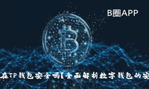 钱放在TP钱包安全吗？全面解析数字钱包的安全性