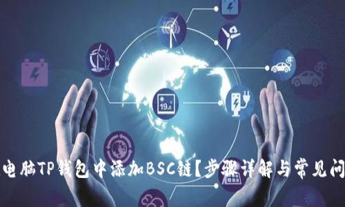 如何在电脑TP钱包中添加BSC链?步骤详解与常见问题解答