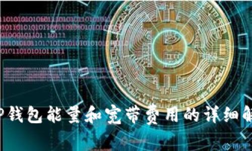 TP钱包能量和宽带费用的详细解析
