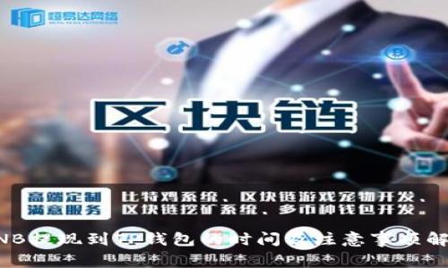 BNB提现到TP钱包的时间及注意事项解析